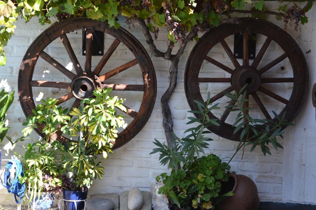 Hotel Vendimia Boutique Santa Cruz Dış mekan fotoğraf