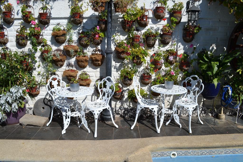 Hotel Vendimia Boutique Santa Cruz Dış mekan fotoğraf